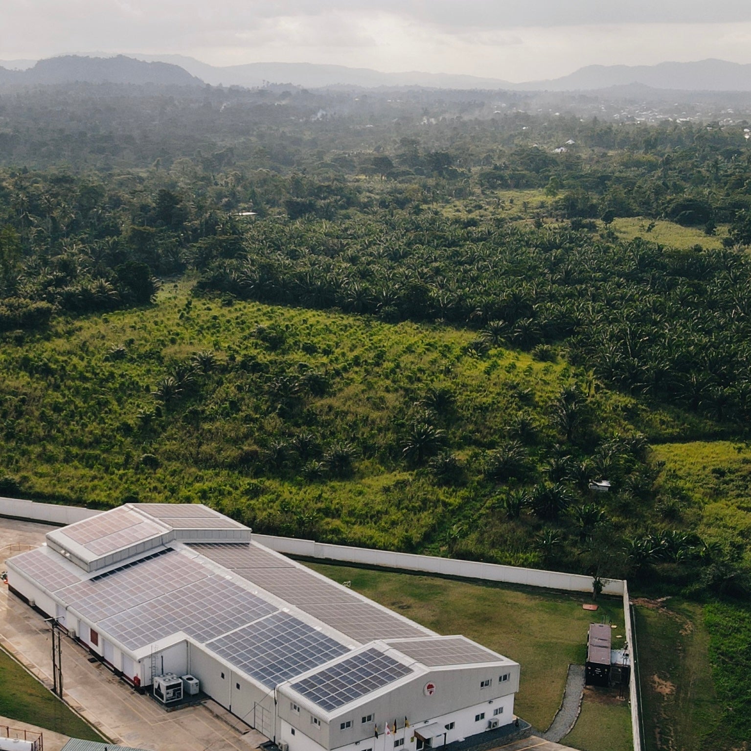 Zacao's solar-powered factory surrounded by lush Ghanaian jungle.