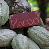 Zacao 70% Dark Chocolate bar nestled among cacao pods on a cacao tree branch in Ghana.