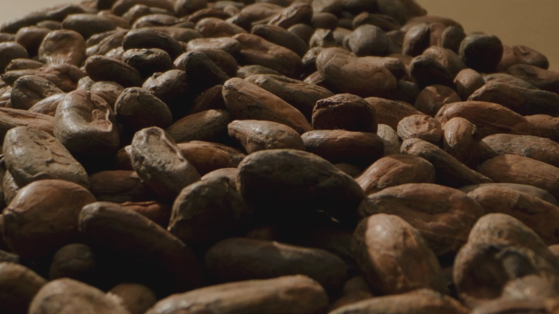 Slow-motion video panning over organic coconut sugar crystals and whole cacao beans.